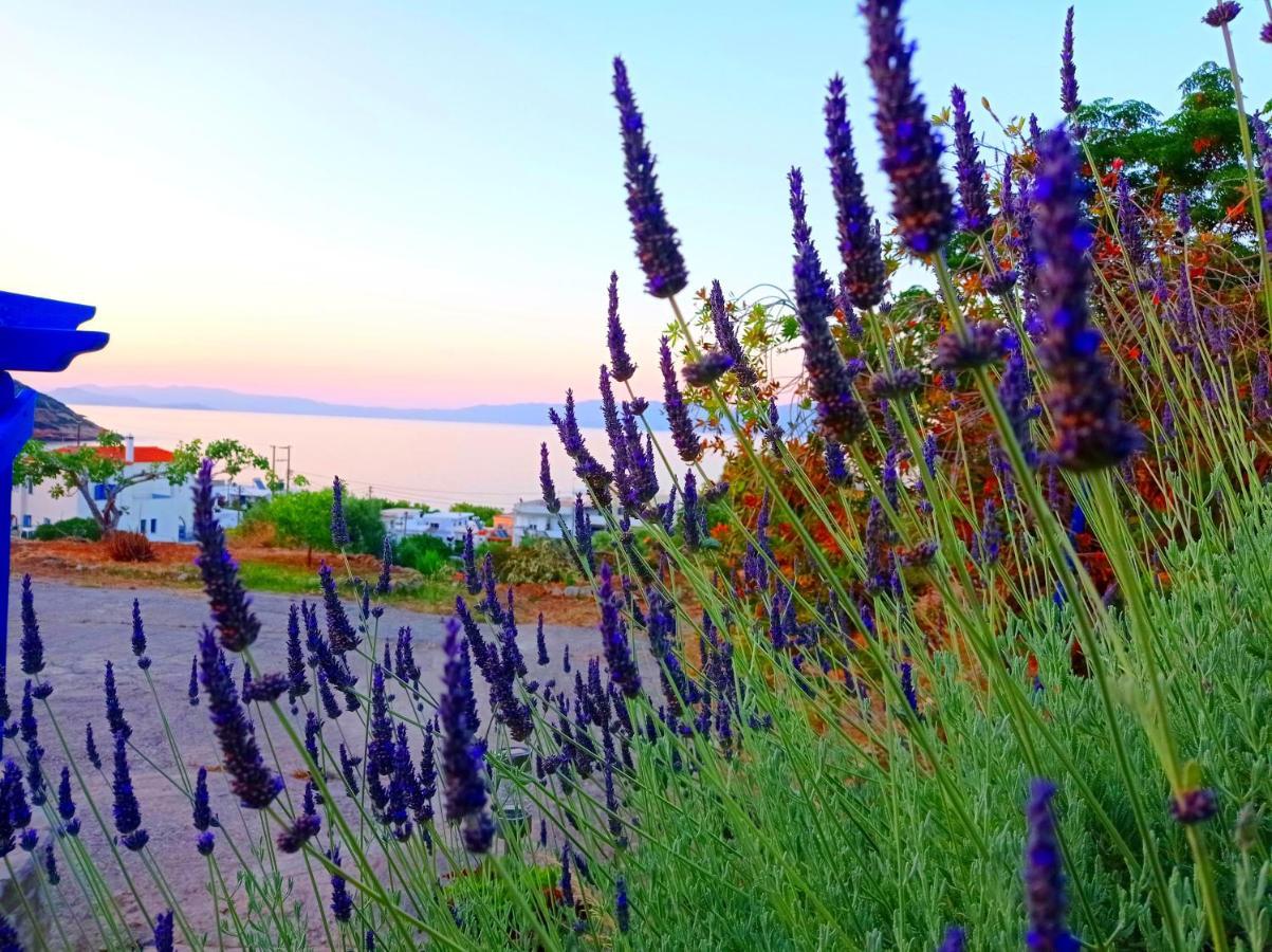 Evangelia House Sea View Apartments Agia Pelagia  エクステリア 写真