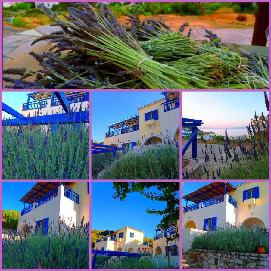 Evangelia House Sea View Apartments Agia Pelagia  エクステリア 写真